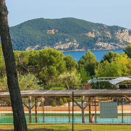 Campsite Camping Les Dauphins Saint-Cyr-sur-Mer